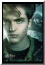 harry potter 12.jpg (6775 octets)