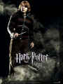 harry potter 26.jpg (266386 octets)