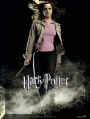 harry potter 27.jpg (16015 octets)