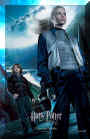 harry potter 30.jpg (22423 octets)