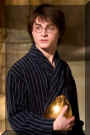 harry potter 33.jpg (15856 octets)