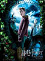 harry potter 39.jpg (11021 octets)