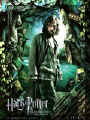 harry potter 40.jpg (11617 octets)