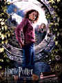 harry potter 41.jpg (11949 octets)