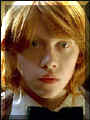 harry potter 52.jpg (9993 octets)