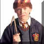 harry potter 75.jpg (11407 octets)