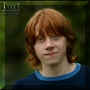 harry potter 76.jpg (9727 octets)