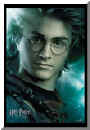 harry potter 7.jpg (7211 octets)