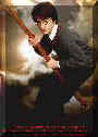 harry potter 93.jpg (3448 octets)